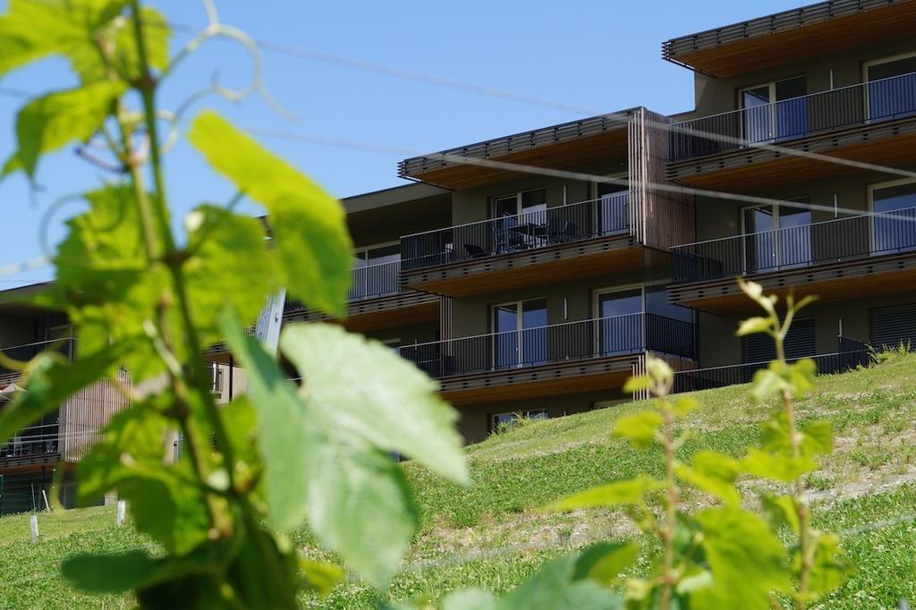 Relax Residence Suedsteiermark エーレンハウゼン 部屋 写真